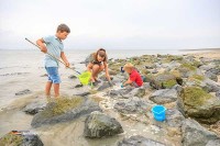Camping Scheldeoord in Zeeland ist ein echter Familiencamping in ruhiger Lage direkt am Seedeich der Westerschelde und direkt am Strand