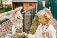 Camping mit Tiergehege in Holland
