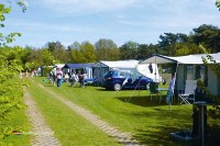 Camping Op den Diesdonk bietet großzügige Stellplätze auf gepflegten Wiesen in Holland