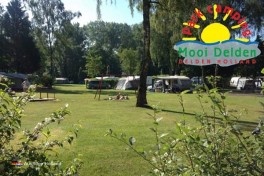 Park Camping Mooi Delden