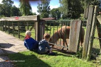 Streichelzoo Camping Holland Niederlande